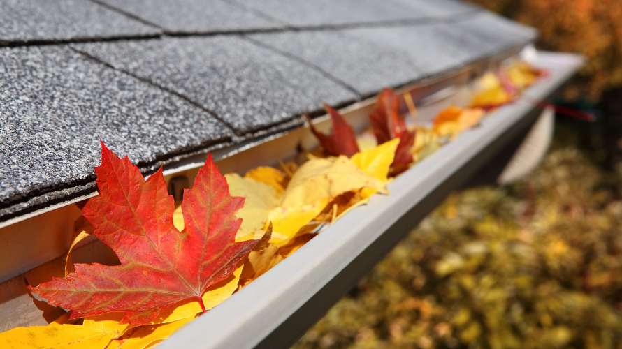 The Importance of Gutters and Gutter Guards