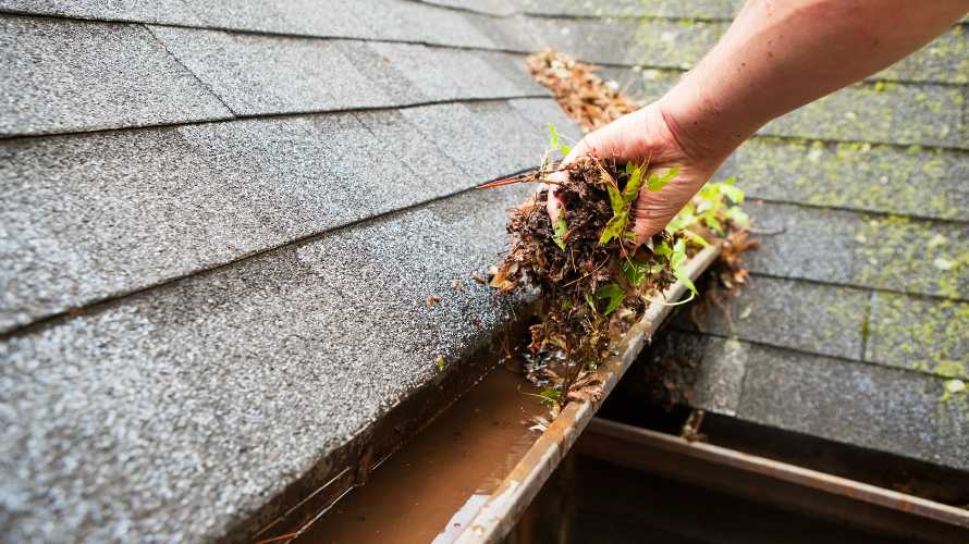 Gutters and Gutter Guards: Everything You Need to Know